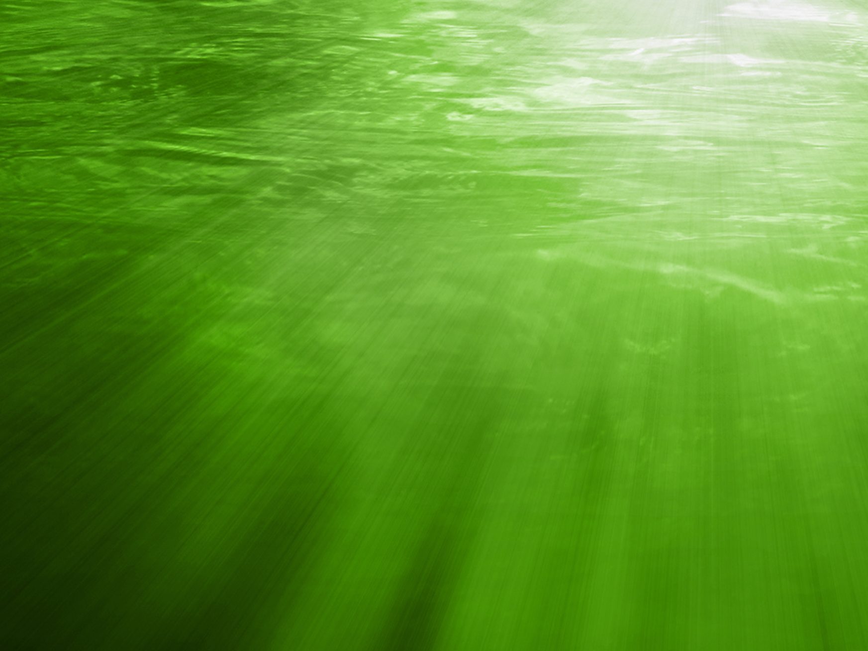 Grünes Wasser mit Sonnenstrahlen